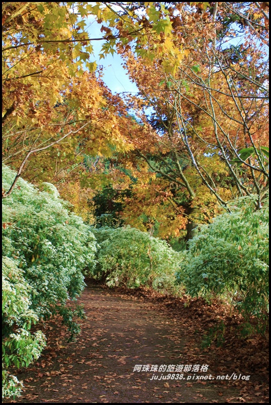 沐心泉34.JPG 沐心泉34.JPG