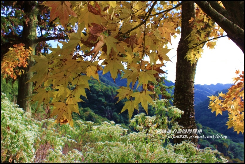 沐心泉35.JPG 沐心泉35.JPG