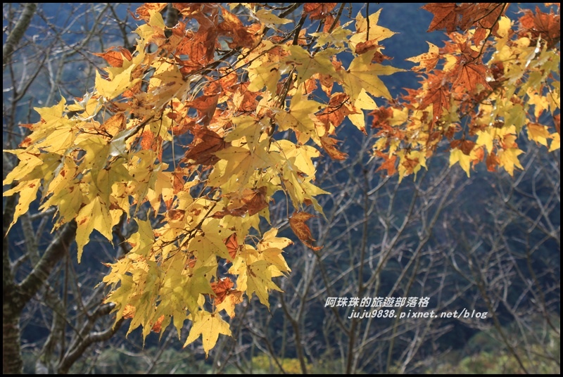 沐心泉36.JPG 沐心泉36.JPG