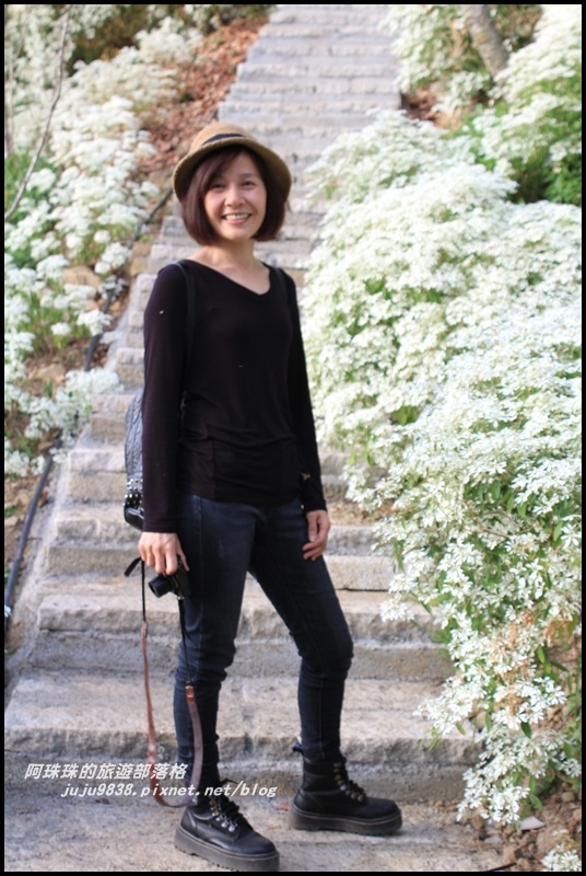 沐心泉37.JPG 沐心泉37.JPG