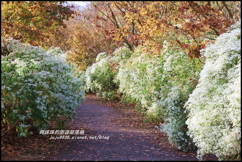 沐心泉38.JPG 沐心泉38.JPG