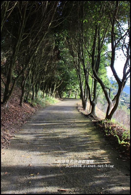 沐心泉39.JPG 沐心泉39.JPG