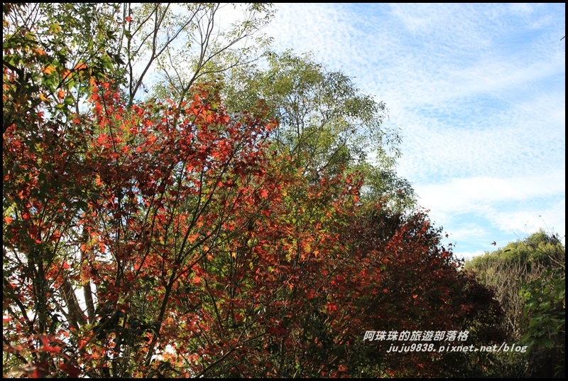 沐心泉40.JPG 沐心泉40.JPG