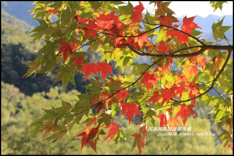 沐心泉41.JPG 沐心泉41.JPG