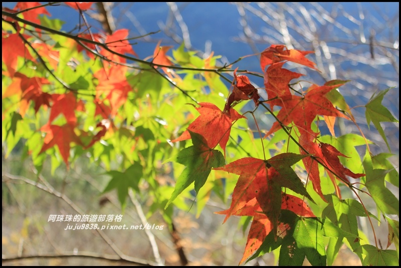 沐心泉42.JPG 沐心泉42.JPG