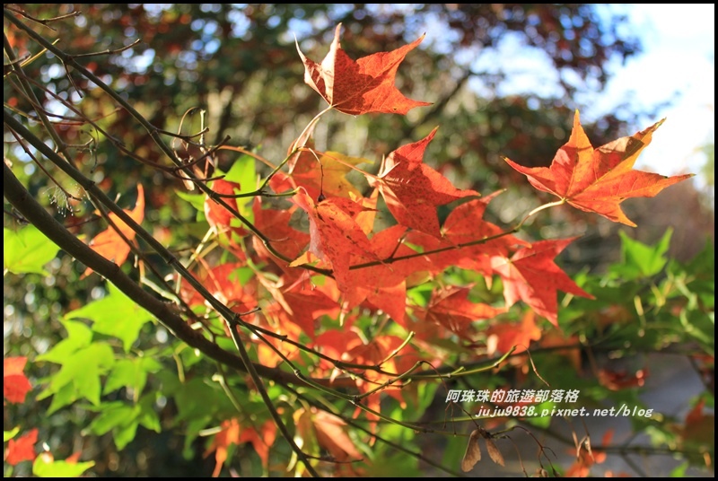 沐心泉43.JPG 沐心泉43.JPG