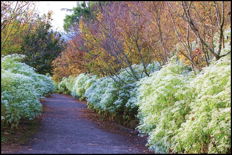 沐心泉45.JPG 沐心泉45.JPG