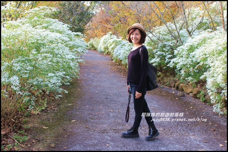 沐心泉46.JPG 沐心泉46.JPG