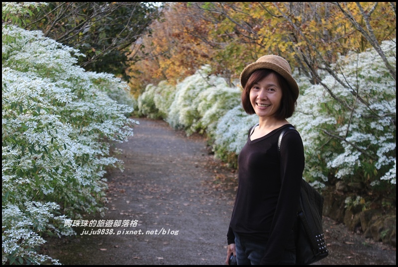 沐心泉47.JPG 沐心泉47.JPG