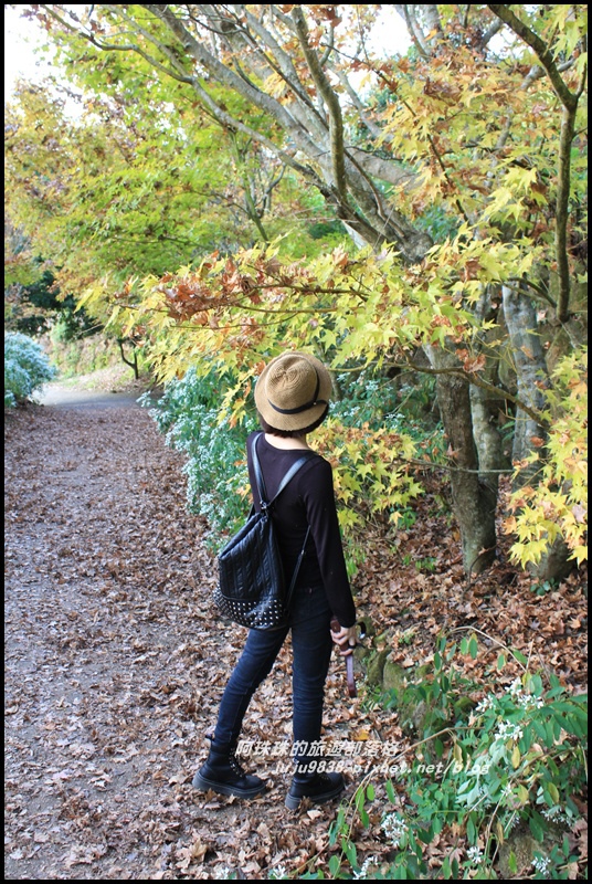 沐心泉48.JPG 沐心泉48.JPG