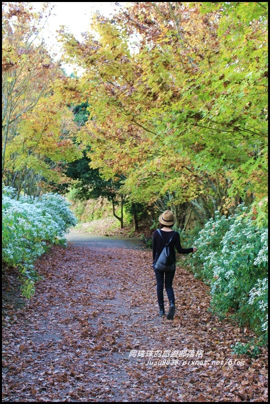 沐心泉49.JPG 沐心泉49.JPG