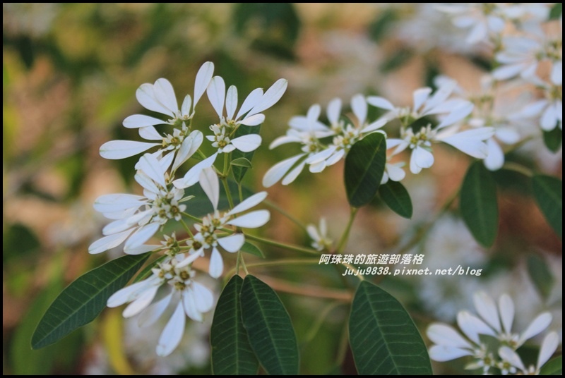 沐心泉50.JPG 沐心泉50.JPG