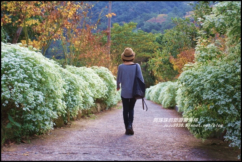 沐心泉52.JPG 沐心泉52.JPG