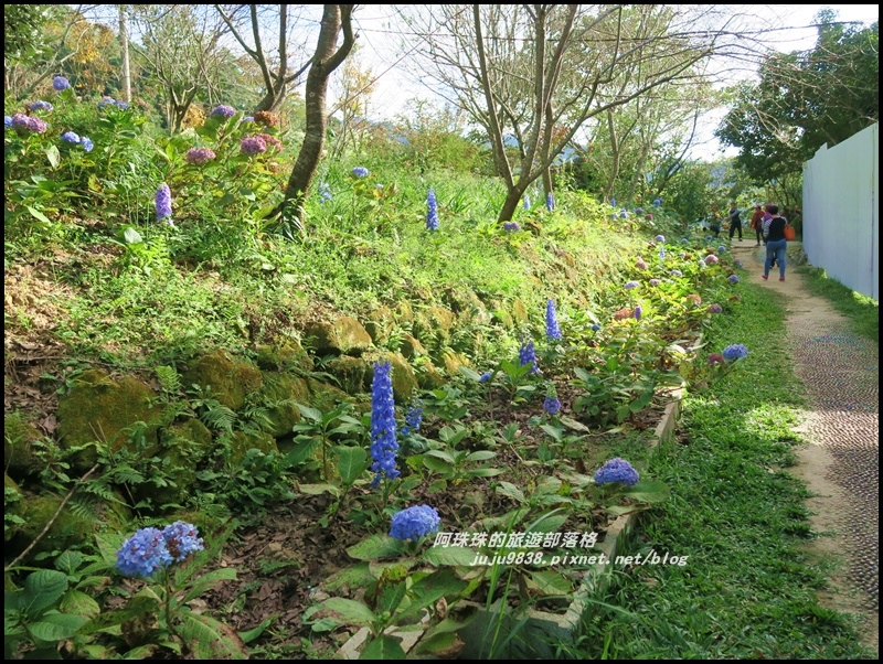 沐心泉54.JPG 沐心泉54.JPG