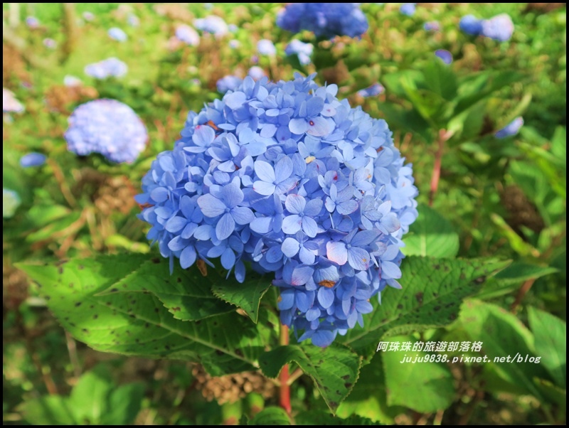 沐心泉55.JPG 沐心泉55.JPG