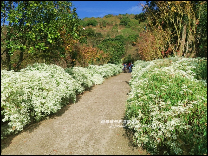沐心泉56.JPG 沐心泉56.JPG