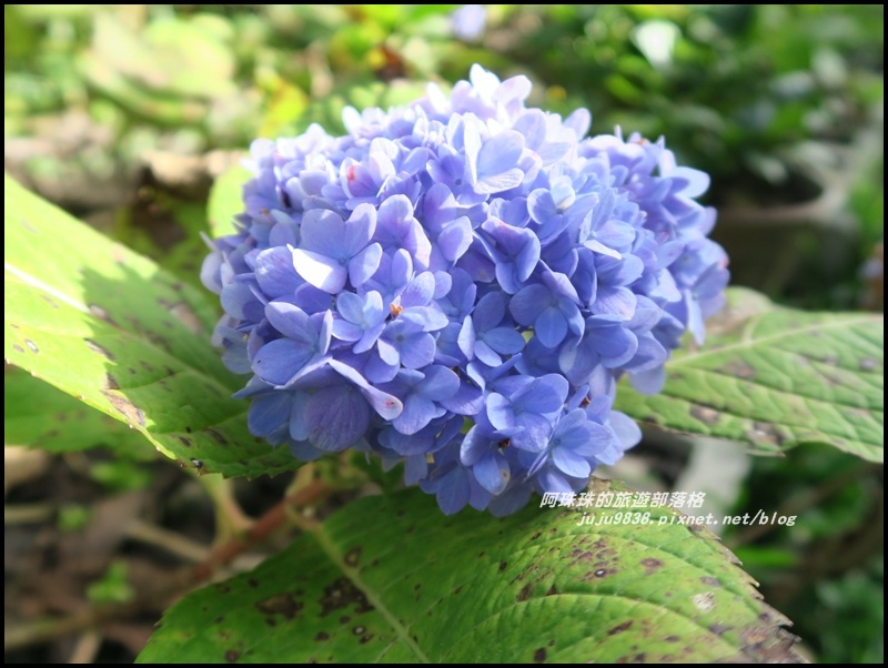 沐心泉58.JPG 沐心泉58.JPG