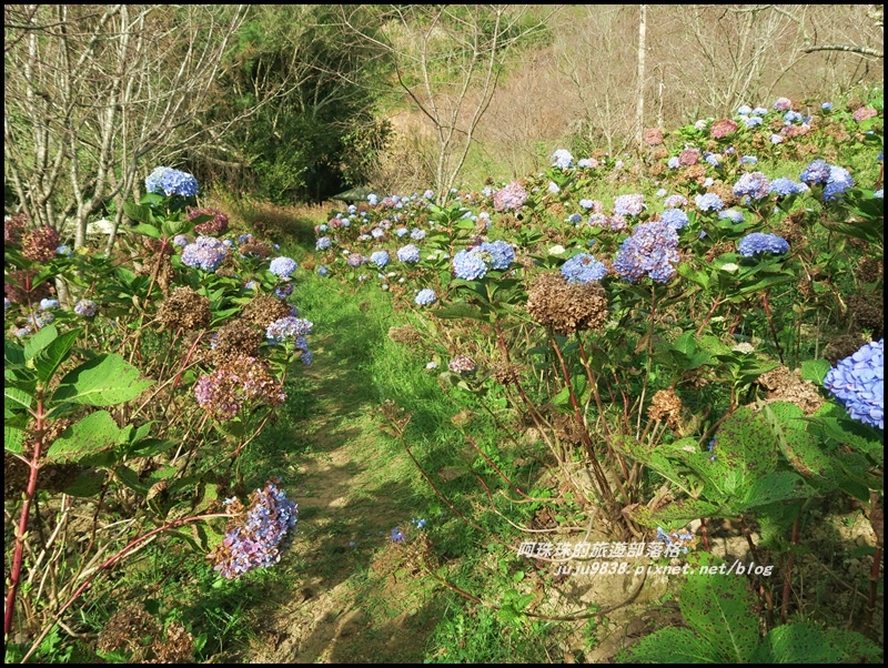 沐心泉59.JPG 沐心泉59.JPG