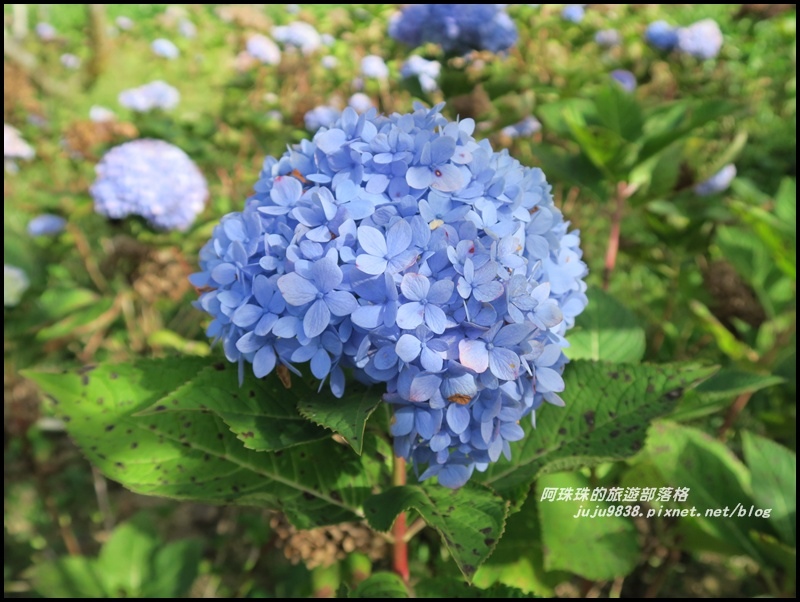 沐心泉60.JPG 沐心泉60.JPG