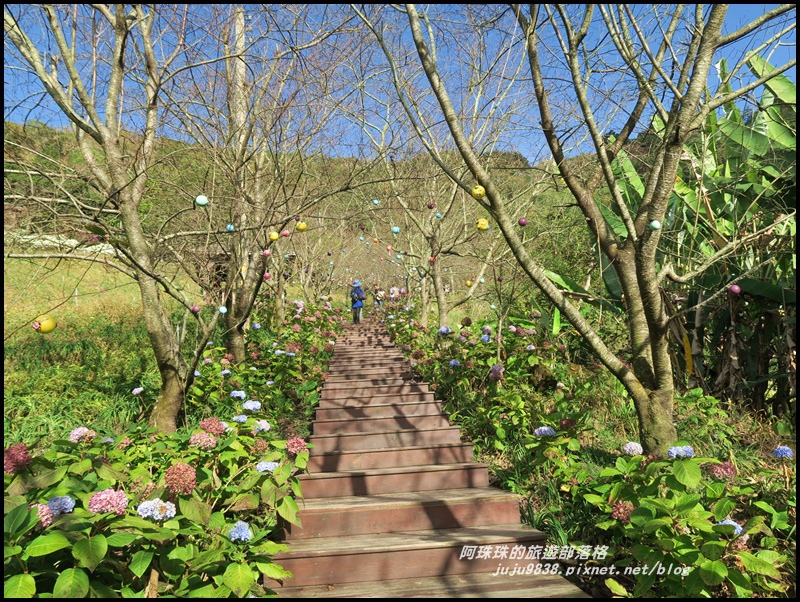 沐心泉62.JPG 沐心泉62.JPG