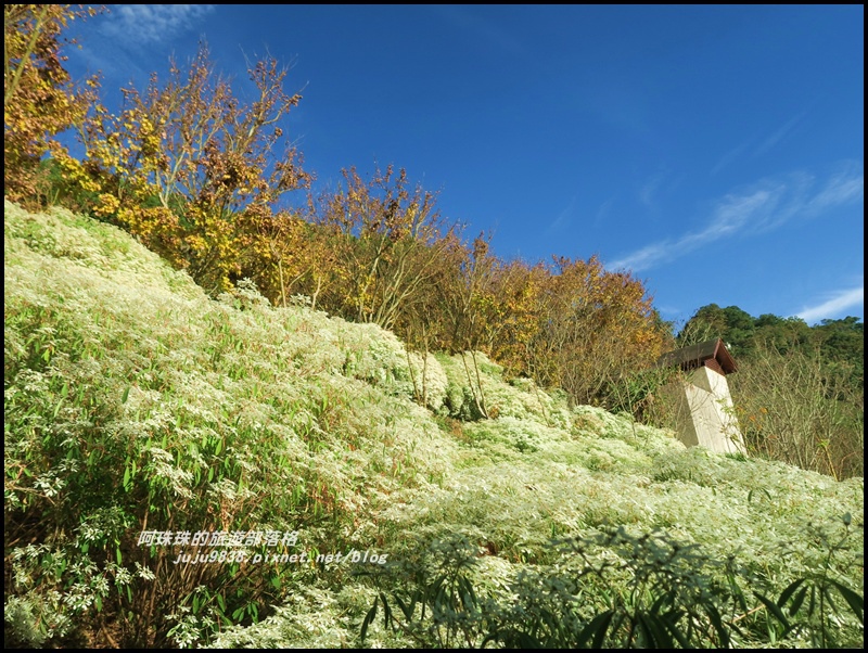 沐心泉65.JPG 沐心泉65.JPG