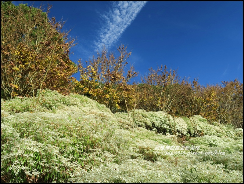 沐心泉66.JPG 沐心泉66.JPG