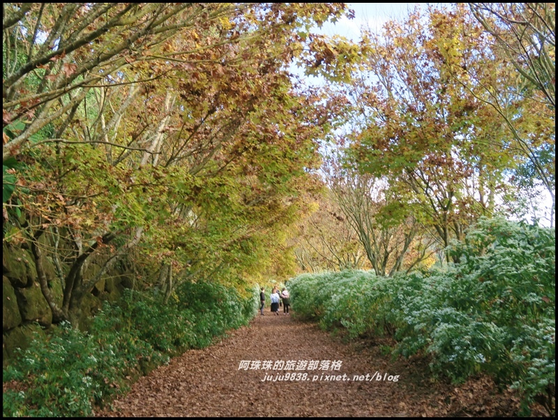 沐心泉67.JPG 沐心泉67.JPG