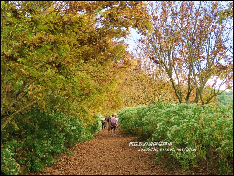 沐心泉68.JPG 沐心泉68.JPG