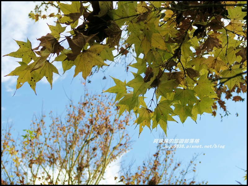 沐心泉69.JPG 沐心泉69.JPG