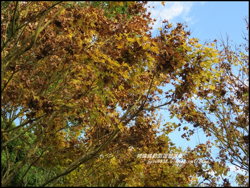 沐心泉70.JPG 沐心泉70.JPG