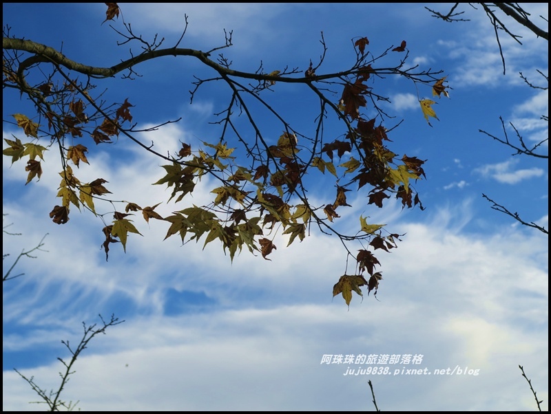 沐心泉73.JPG 沐心泉73.JPG