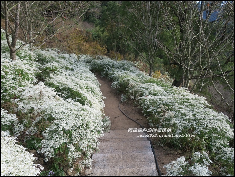 沐心泉75.JPG 沐心泉75.JPG