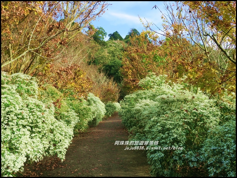 沐心泉76.JPG 沐心泉76.JPG