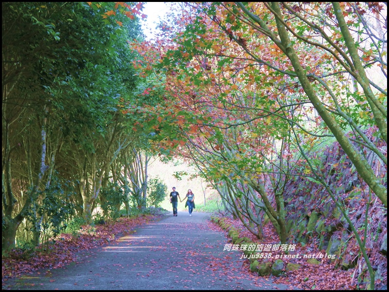 沐心泉78.JPG 沐心泉78.JPG