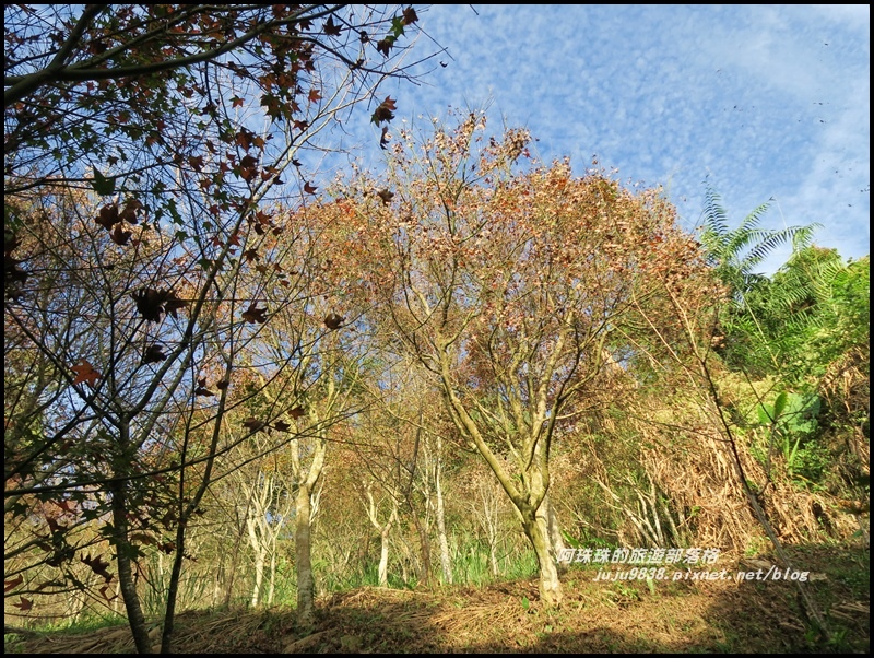 沐心泉79.JPG 沐心泉79.JPG