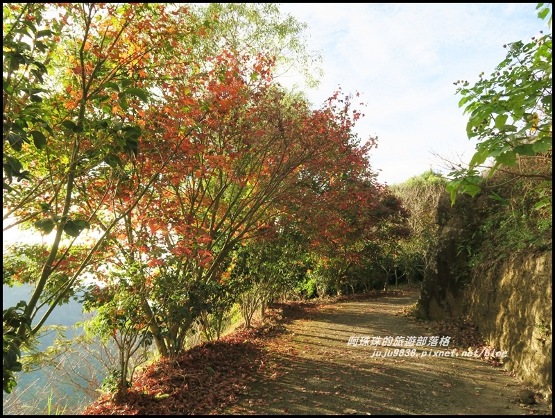 沐心泉81.JPG 沐心泉81.JPG