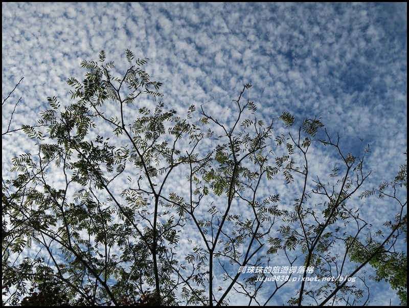 沐心泉80.JPG 沐心泉80.JPG