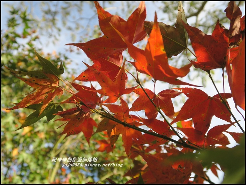 沐心泉82.JPG 沐心泉82.JPG