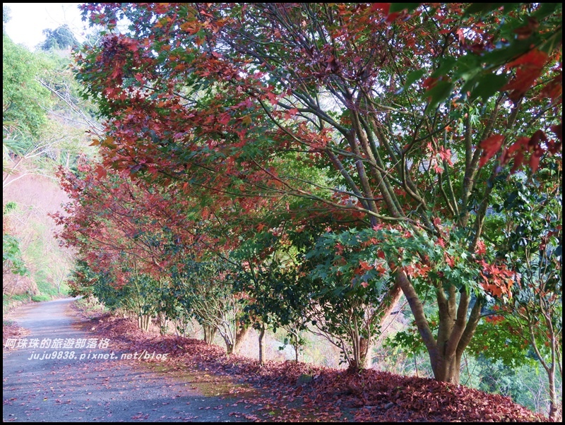 沐心泉83.JPG 沐心泉83.JPG