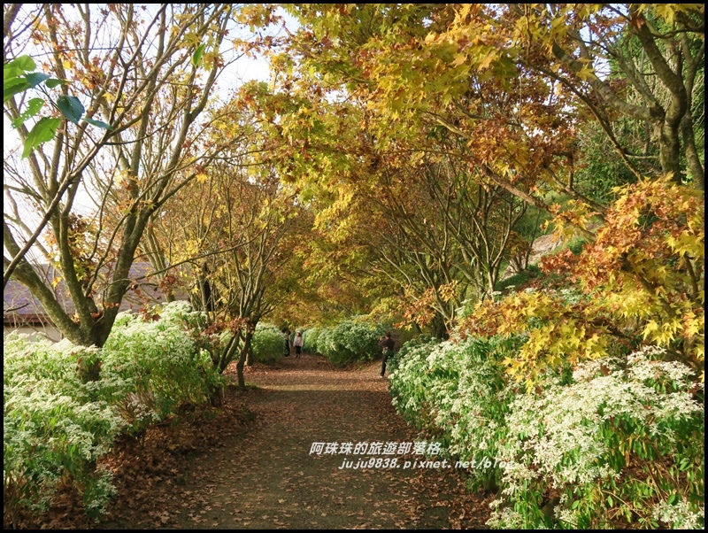 沐心泉84.JPG 沐心泉84.JPG