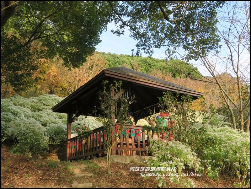 沐心泉85.JPG 沐心泉85.JPG