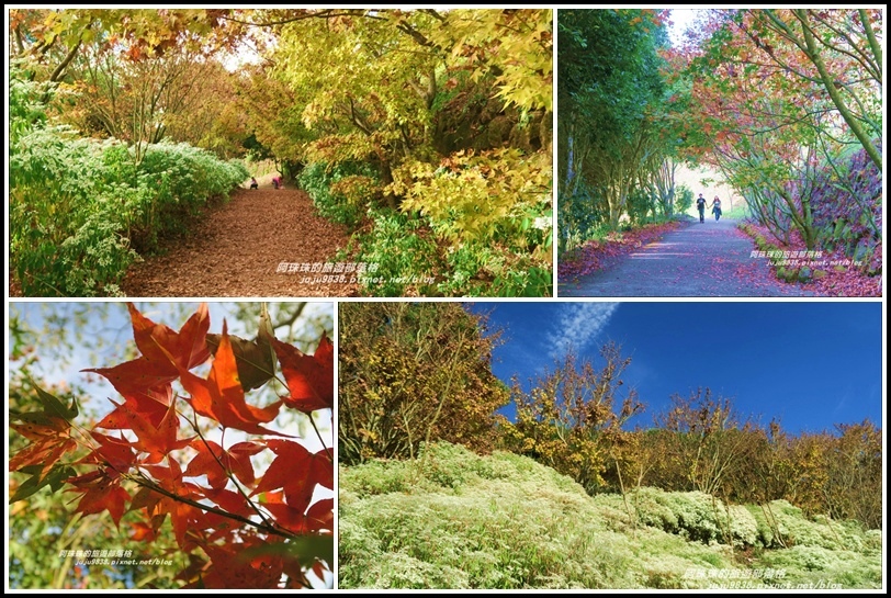 沐心泉87 沐心泉87