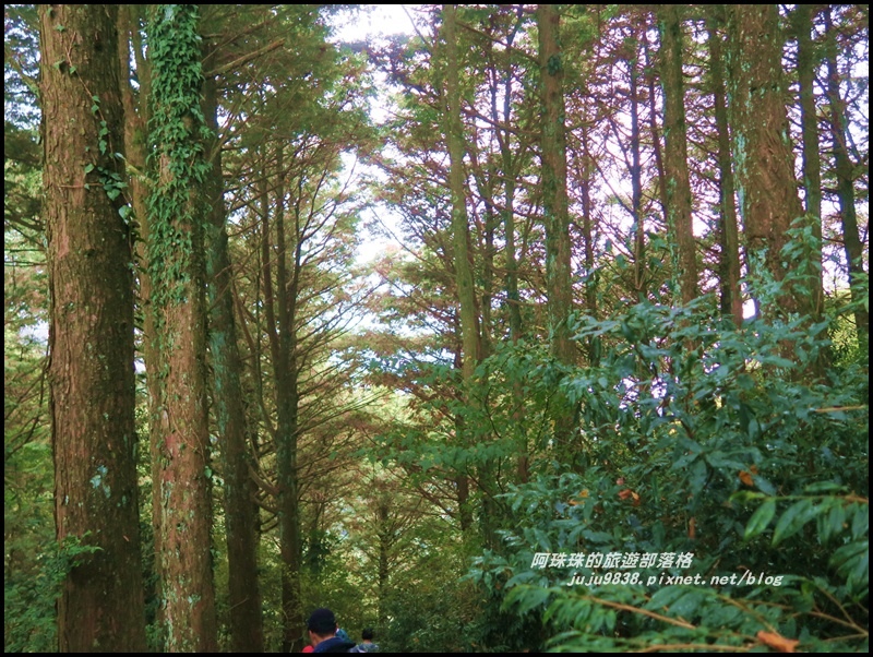 鳶嘴稍來步道12.JPG 鳶嘴稍來步道12.JPG