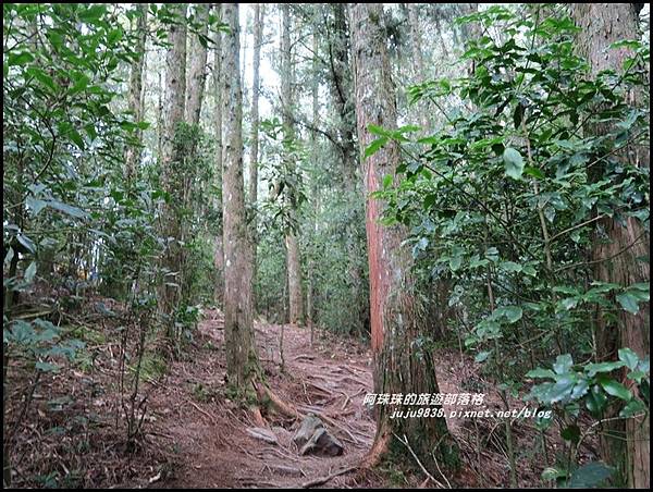 鳶嘴稍來步道11.JPG