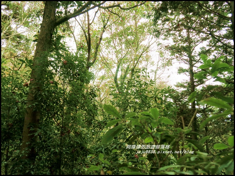 鳶嘴稍來步道13.JPG 鳶嘴稍來步道13.JPG