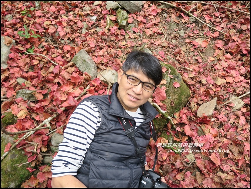 鳶嘴稍來步道17.JPG 鳶嘴稍來步道17.JPG