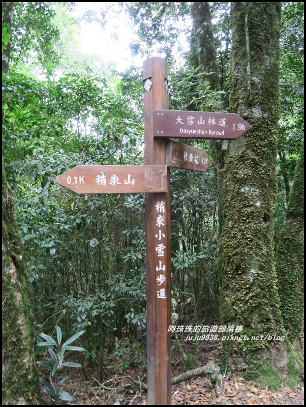 鳶嘴稍來步道27.JPG 鳶嘴稍來步道27.JPG