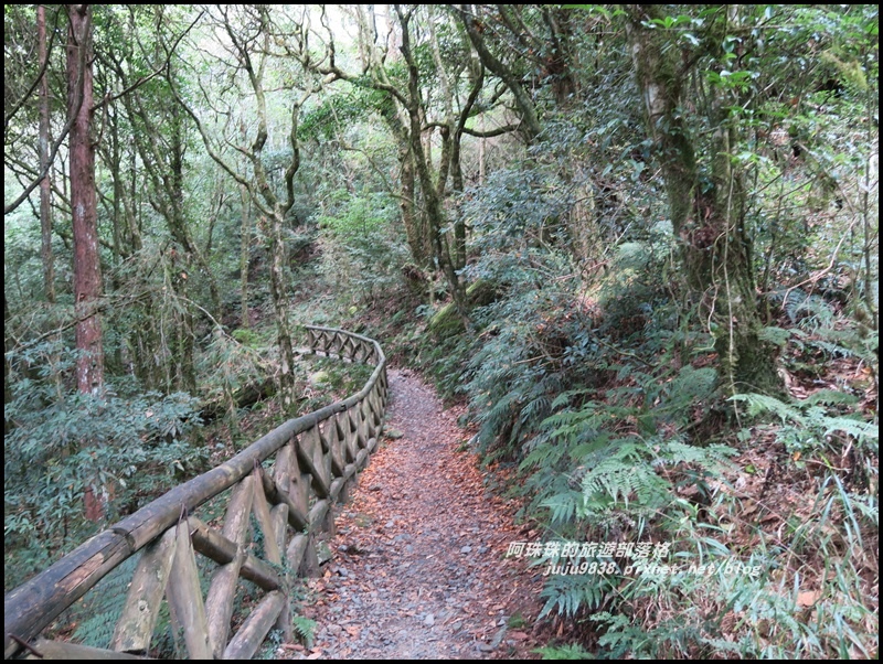 鳶嘴稍來步道29.JPG 鳶嘴稍來步道29.JPG