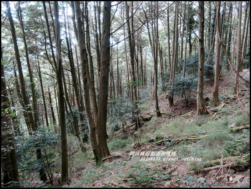 鳶嘴稍來步道30.JPG 鳶嘴稍來步道30.JPG