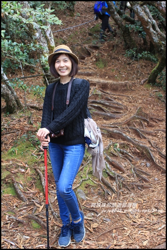 鳶嘴稍來步道35.JPG 鳶嘴稍來步道35.JPG